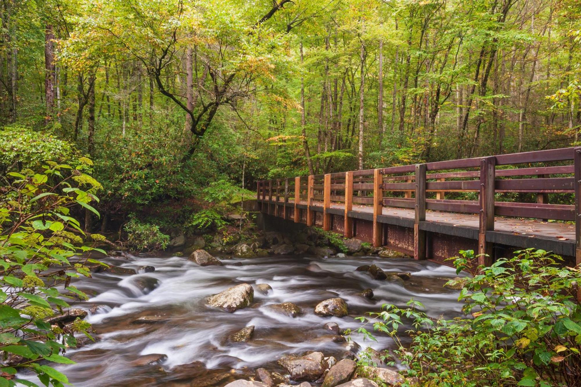 Majestic View Lodge, Amazing Views, Hot Tub, 1089 Free Tickets Each Paid Day, Dollywood And More Gatlinburg Dış mekan fotoğraf